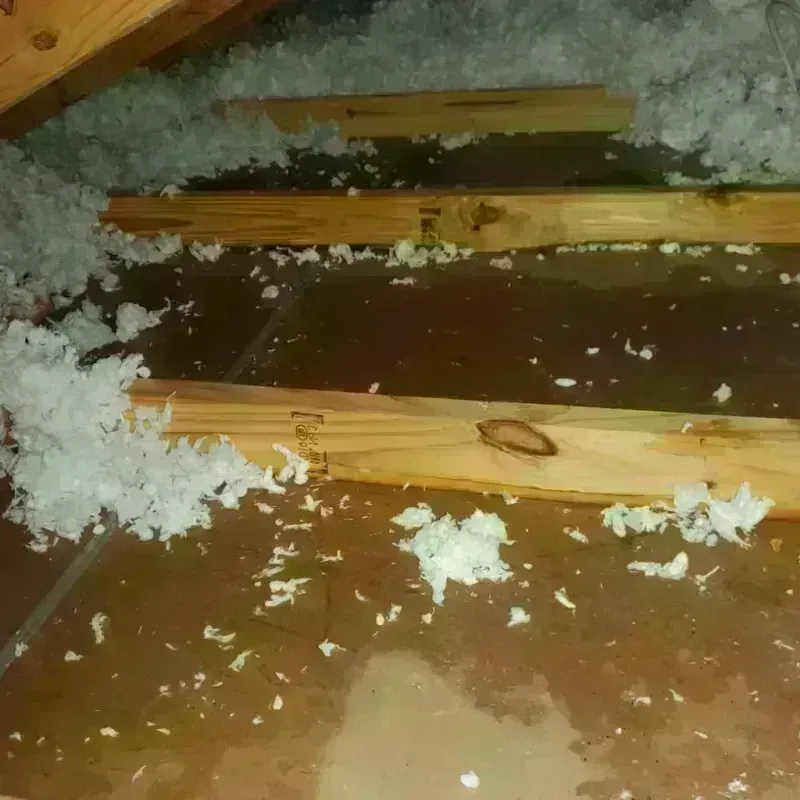 Attic Water Damage in Boonville, CA